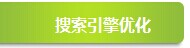 网站优化